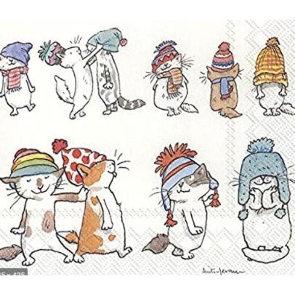 cats with hats ihr (1)