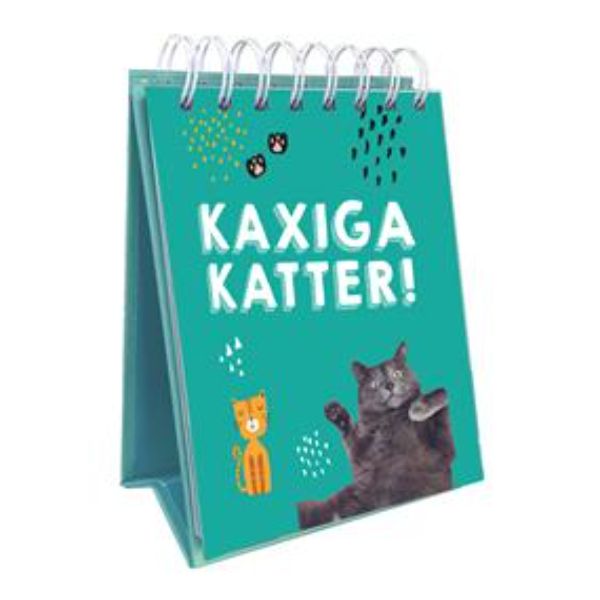 kaxiga-katter (1)